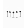 LABRET ZEBRA KULKA
